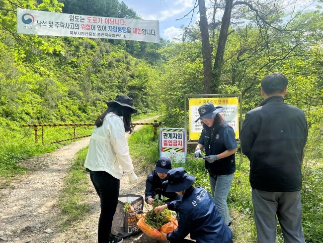 사진=북부지방산림청 제공