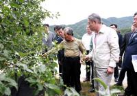 [경남농협] 강호동 중앙회장, 경남 거창 사과 재배농가 현장 점검 外