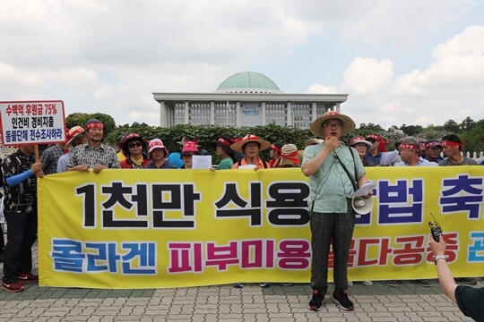 개 사육 농민 단체인 대한육견협회 회원들이 초복인 2019년 7월 12일 국회 앞에서 열린 기자회견에서 개 식용 금지 법안 반대를 주장하며 개고기 시식 퍼포먼스를 하고 있다. 사진=박은숙 기자