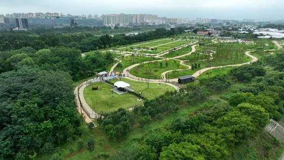 하남시, 반려견 놀이터 '미사아일랜드 펫존' 전경. 사진=하남시 제공