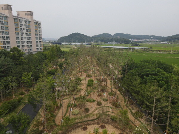 남동구는 미세먼지 차단과 공기정화를 위해 영동고속도로변에 1.5ha 규모의 기후 대응 도시 숲을 조성했다. 사진=남동구 제공