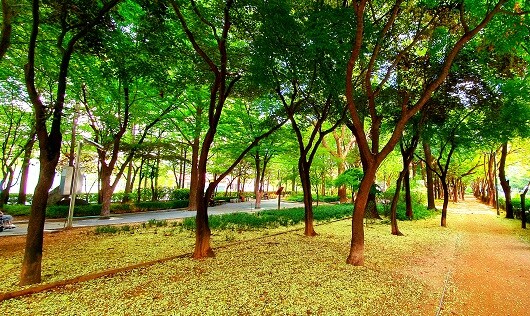 서울 구로구 구로동에 위치한 거리공원. 사진=주현웅 기자