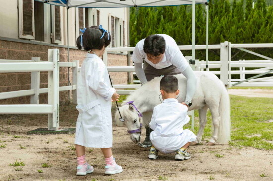 어린이들이 청진기를 이용해 말의 심장소리를 듣고 있다. 사진=한국마사회 부산경남본부 제공