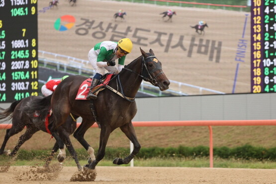 ‘원더풀슬루’ 우승 장면. 사진=한국마사회 부산경남본부 제공