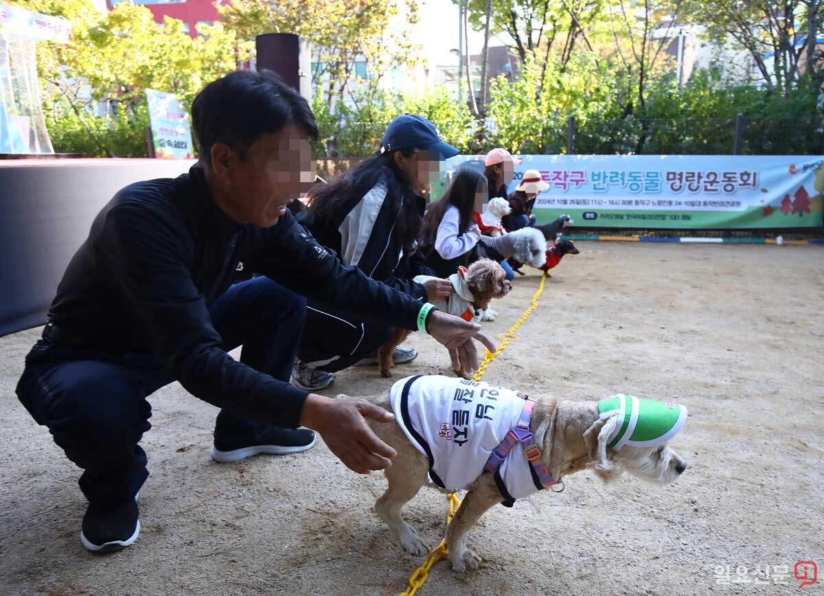 명랑운동회에서 '이리와' 최강전이 시작됐다.