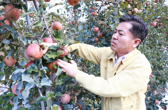 현장점검 실시 모습. 사진=경남농협 제공