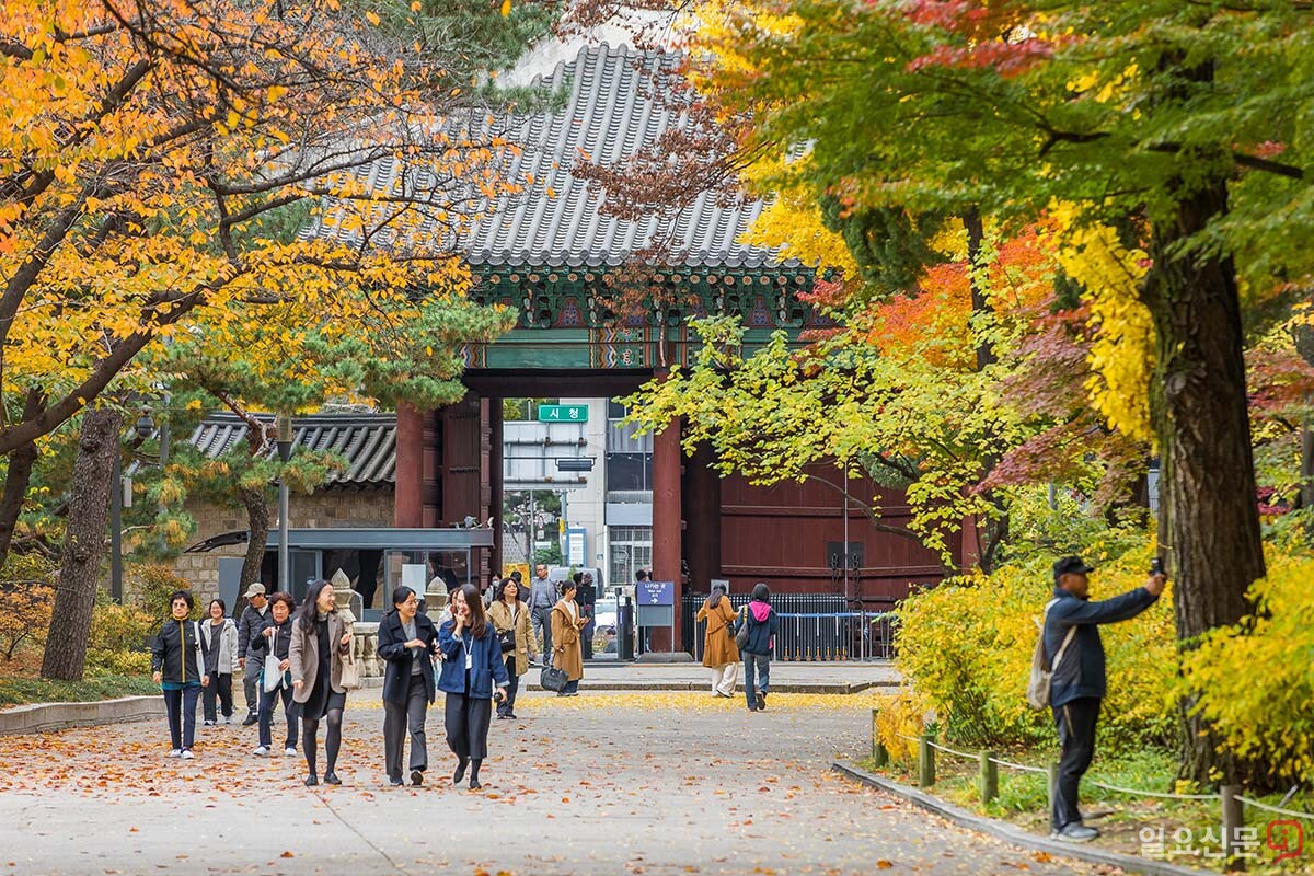 14일 서울 중구 덕수궁이 노랗고 빨갛게 물들었다.