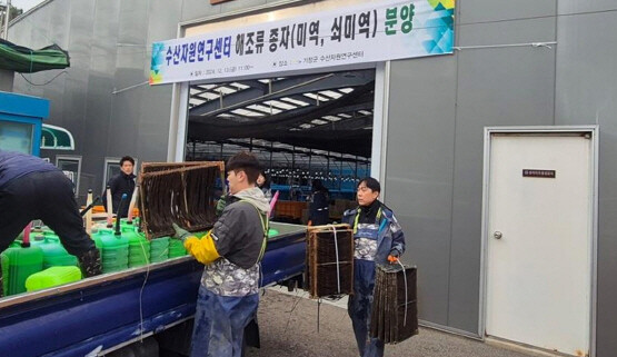 수산자원연구센터에서 자체 생산한 해조류 종자를 어업인에게 배분하고 있다. 사진=기장군 제공