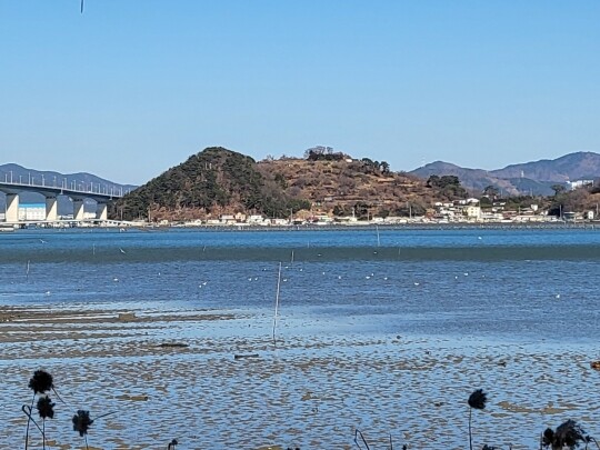 부산 가덕도 눌차만에 오리떼가 헤엄을 치고 있다. 사진=최희주 기자