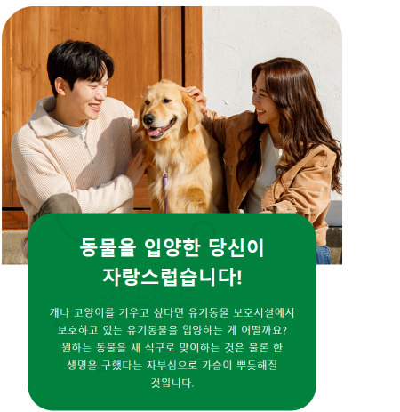 유기동물 입양비 지원 이미지. 사진=김해시 제공