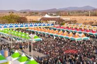 파주장단콩축제, 7년 연속 경기대표관광축제 선정