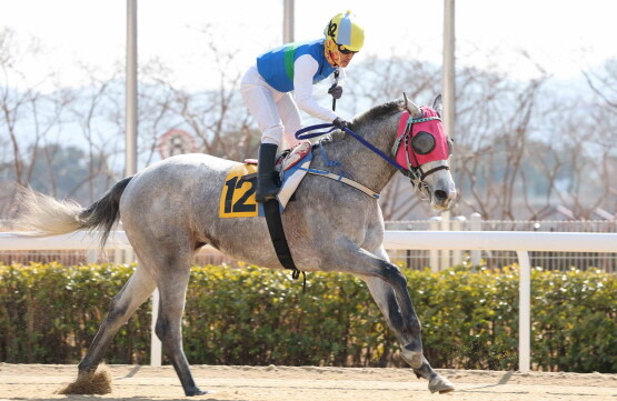 이성재 기수의 경주 모습. 사진=렛츠런파크 부산경남 제공