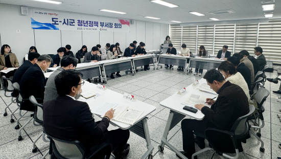 ‘도-시군 청년정책 부서장 회의’ 장면. 사진=경남도 제공