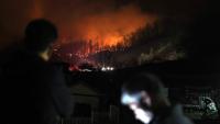 213시간 만에 진화된 산청 산불…축구장 2602개 면적 '잿더미' 