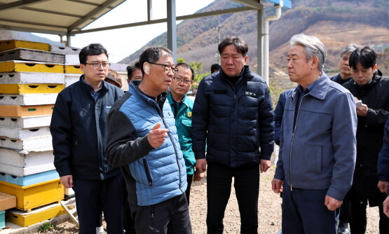 강호동 농협중앙회장의 경남 산불 피해현장 방문 장면. 사진=경남농협 제공