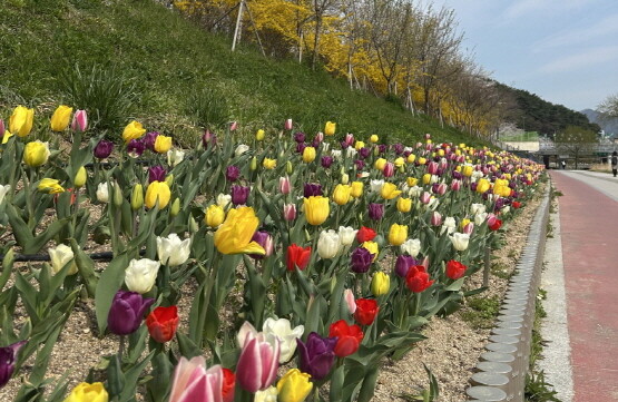 꽃길 조성 장면. 사진=기장군 제공