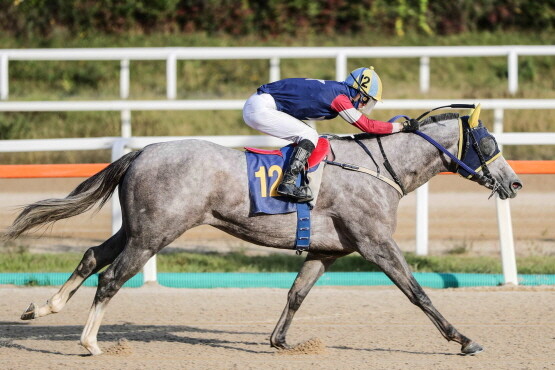 캡틴피케이. 사진=렛츠런파크 부산경남 제공