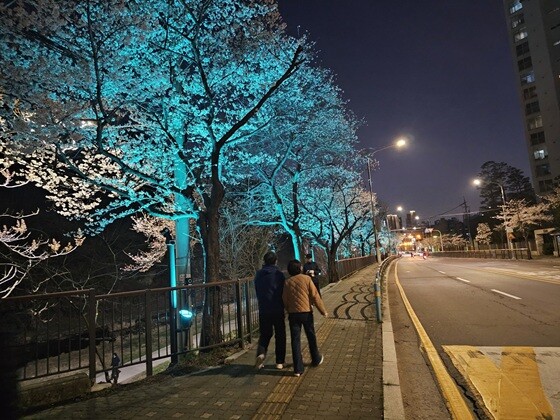 야간 경관조명이 설치된 월문천 벚꽃 산책로를 시민들이 걷고 있다. 사진=남양주시 제공