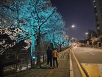 남양주시, 월문천 '빛의 산책로'로 새단장