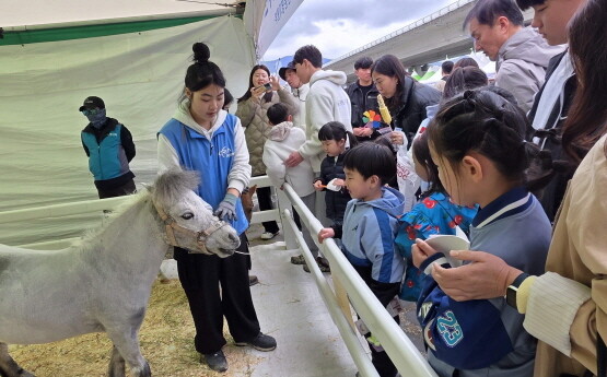 강서 낙동강 30리 벚꽃축제의 렛츠런파크 홍보관에서 어린이들이 미니호스를 보고 있다. 사진=렛츠런파크 부산경남 제공