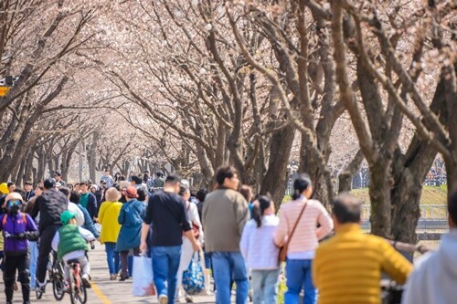지난 4월 4일 개최된 ‘갈산 누리봄 축제. 사진=양평군청 제공