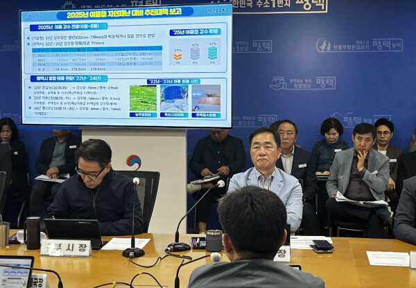 여름철 자연재난 대비 추진 대책 보고회. 사진=평택시 제공