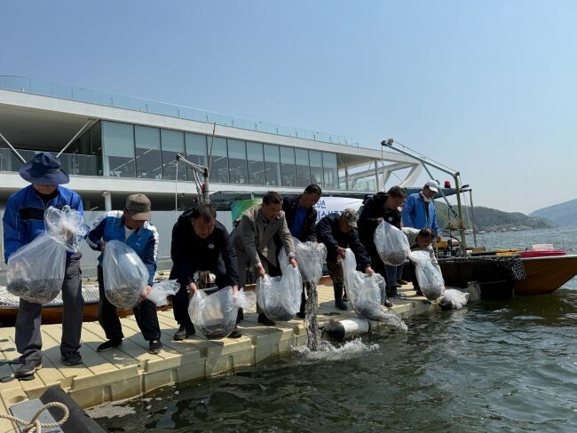 지난 25일, 가평군의 지역 어업인과 관계공무원이 뱀장어 치어 1만7,500마리를 북한강에 방류했다. 사진제공=가평군