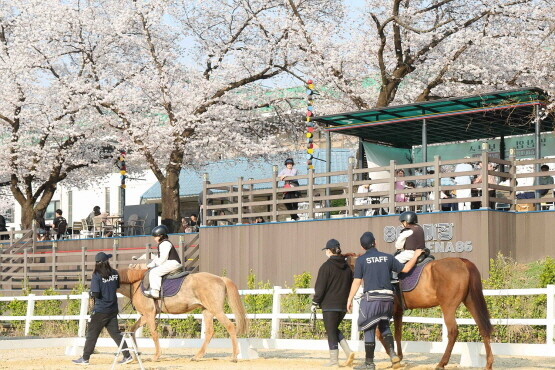 서울에서 열린 도심공원 승마축제 모습. 사진=렛츠런파크 부산경남 제공