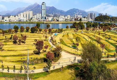 양평 파크골프장 전경. 사진=양평군청 제공