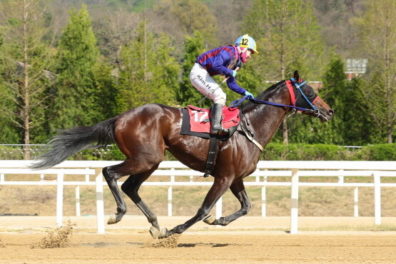 글로벌히트. 사진=렛츠런파크 부산경남 제공