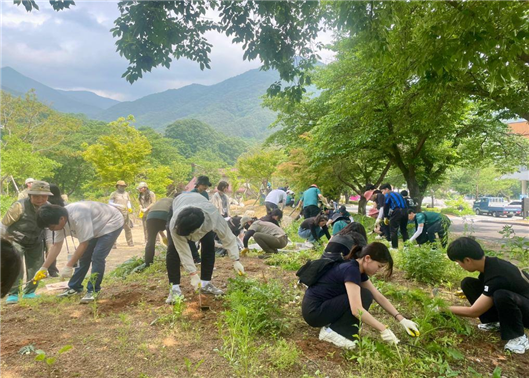 외래식물 제거 모습. 사진=국립공원공단 제공