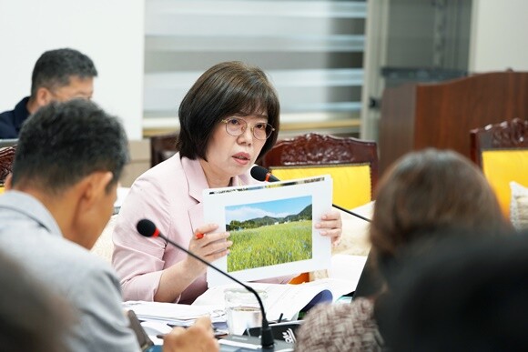 지역 축제의 문제점과 앞으로의 방향성을 제시하고 있는 오혜자 부의장. 사진=양평군의회 제공