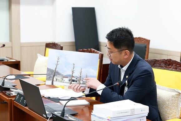 경관 훼손 논란이 있는 가로수 전정 실태에 대한 지적과 대안을 제시하고 있는 송진욱 의원. 사진=양평군의회 제공