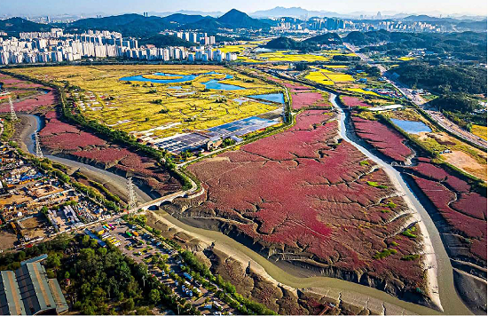 인천 소래습지 전경. 사진=인천시 제공