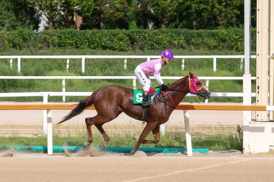 ‘치프스타’ 우승 장면. 사진=렛츠런파크 부산경남 제공