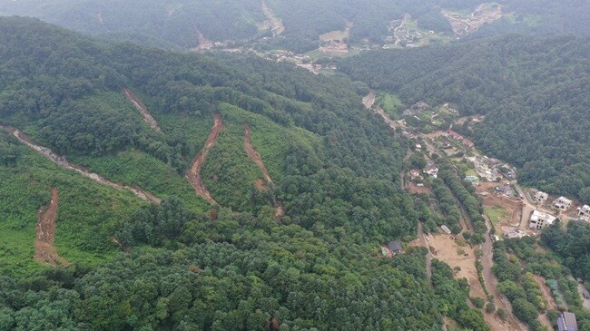 지난 8월, 마일리 인근 임야에서 발생한 산사태 모습. 사진= 최남일 기자