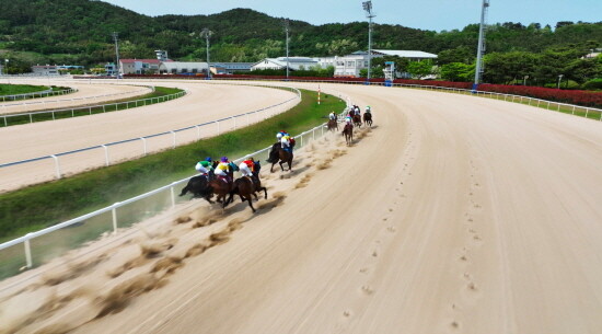 경마 시행 이미지. 사진=렛츠런파크 부산경남 제공