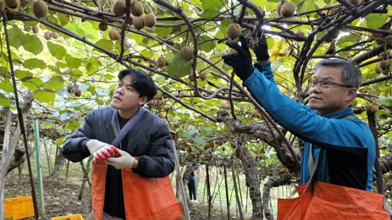 농촌 일손돕기 장면. 사진=경남농협 제공