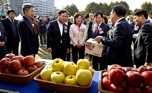 사진은 지난해 열린 '경북사과 홍보행사'. 사진=일요신문 DB