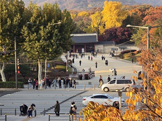 세운상가에서 본 종묘. 사진=김정민 기자