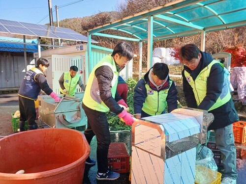 양평로타리클럽 민재완 회장과 회원들이 지난 14일 ‘로뎀의 집’에서 김장 장비를 이용하여 김장봉사를 하고 있다. 사진=양평로타리클럽 제공