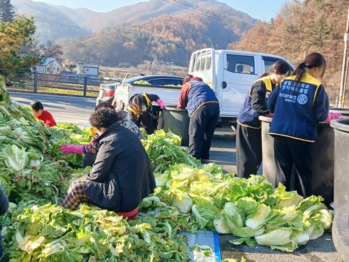 양평로타리클럽 회원들과 양일고 인터랙트 학생들이 14일 ‘로뎀의 집’에서 함께 김장 봉사를 진행하며 구슬땀을 흘리고 있다. 사진=양평로타리클럽 제공