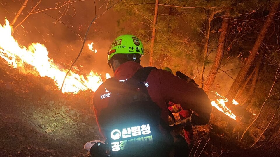 산림 약 36㏊(36만㎡)를 태운 인제 산불의 주불이 약 17시간 만에 진화됐다. 11월 20일 강원 인제군 기린면 한 야산에서 당국이 진화 작업에 나선 모습. 사진=산림청 제공