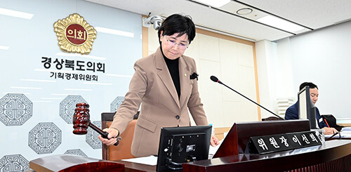 이선희 위원장가 기획경제위원회 회의를 진행하고 있다 .사진=경북도의회 제공