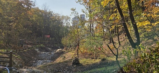 용인특례시가 수지구 죽전동 대지산 자락에 조성한 '도시 숲' 모습. 사진=용인특례시 제공