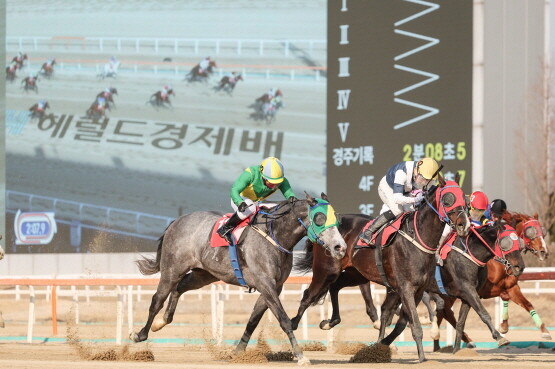 석세스백파. 사진=렛츠런파크 부산경남 제공