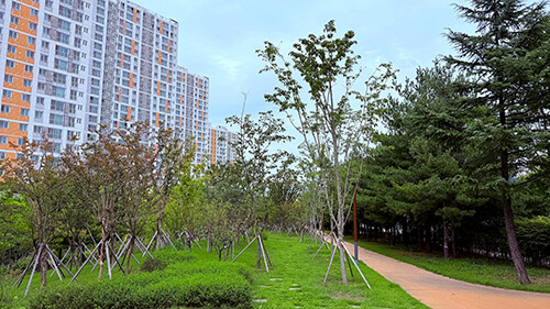 미세먼지 차단숲. 사진=구미시 제공