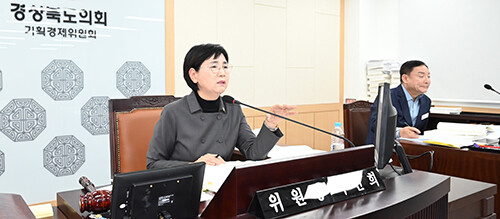 경북도의회 기획경제위원회(위원장 이선희)는 지난 10~11일 회의를 열어, 경북도 소관 8개 실국에 대한 2025년도 제4회 추가경정예산안·조례안 8건·결의안 1건을 심사해 원안가결하고 2025년도 행정사무감사 결과보고서를 채택했다. 사진=경북도의회 제공
