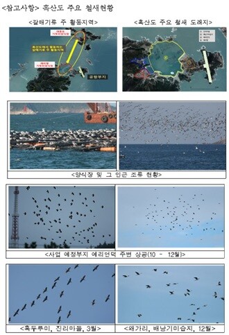 환경부 산하 국립공원위원회는 2018년 전문가들과 함께 흑산공항 조류충돌 위험 안전 분야 검토를 진행했다. 그 결과 조류충돌 위험이 크다고 판단했다. 사진=국립공원위원회 흑산공항 안전분야 전문가 확인·검토 문건 갈무리