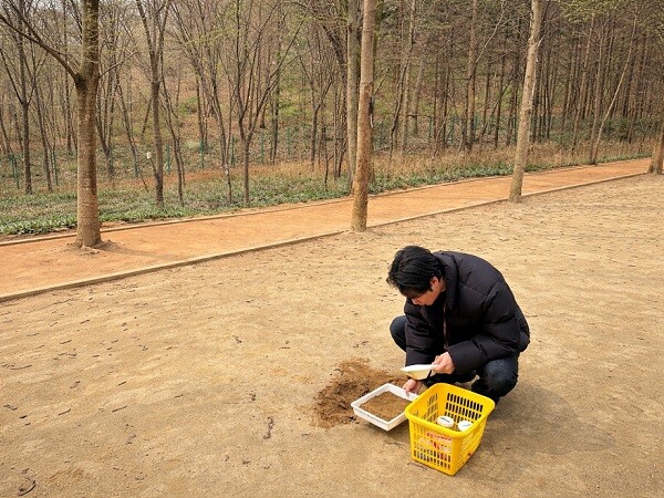대구 공원 16곳의 토양 성분 검사결과 모두 안전한 수준인 것으로 확인됐다. 사진=대구시 제공